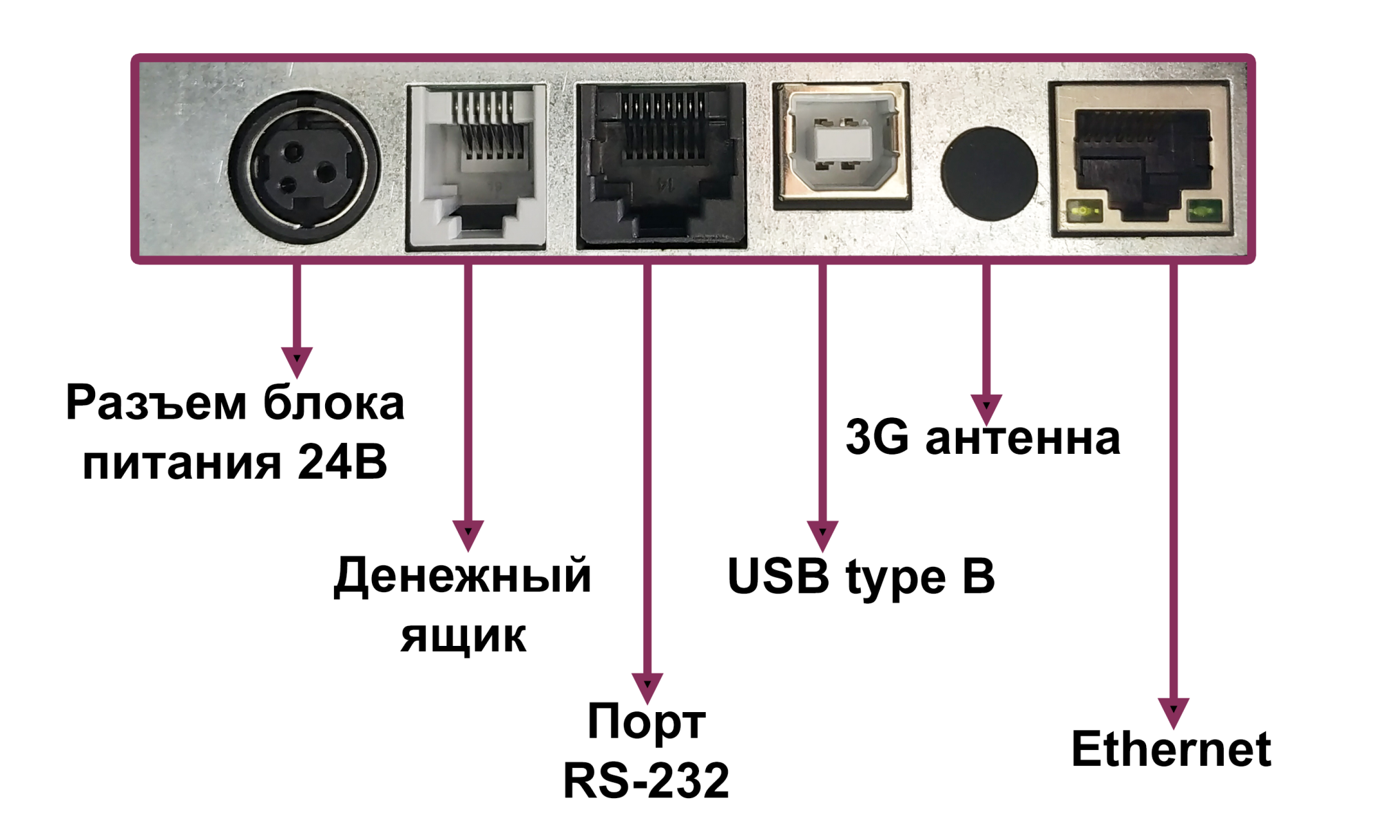 атол 55Ф порты.png