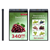 TFT-дисплей MERTECH HL101 Dual 10,1″ картинка от магазина Кассоптторг