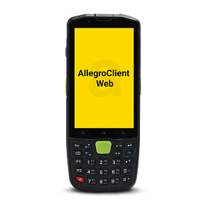 Программа AllegroClient-Web картинка от магазина Кассоптторг